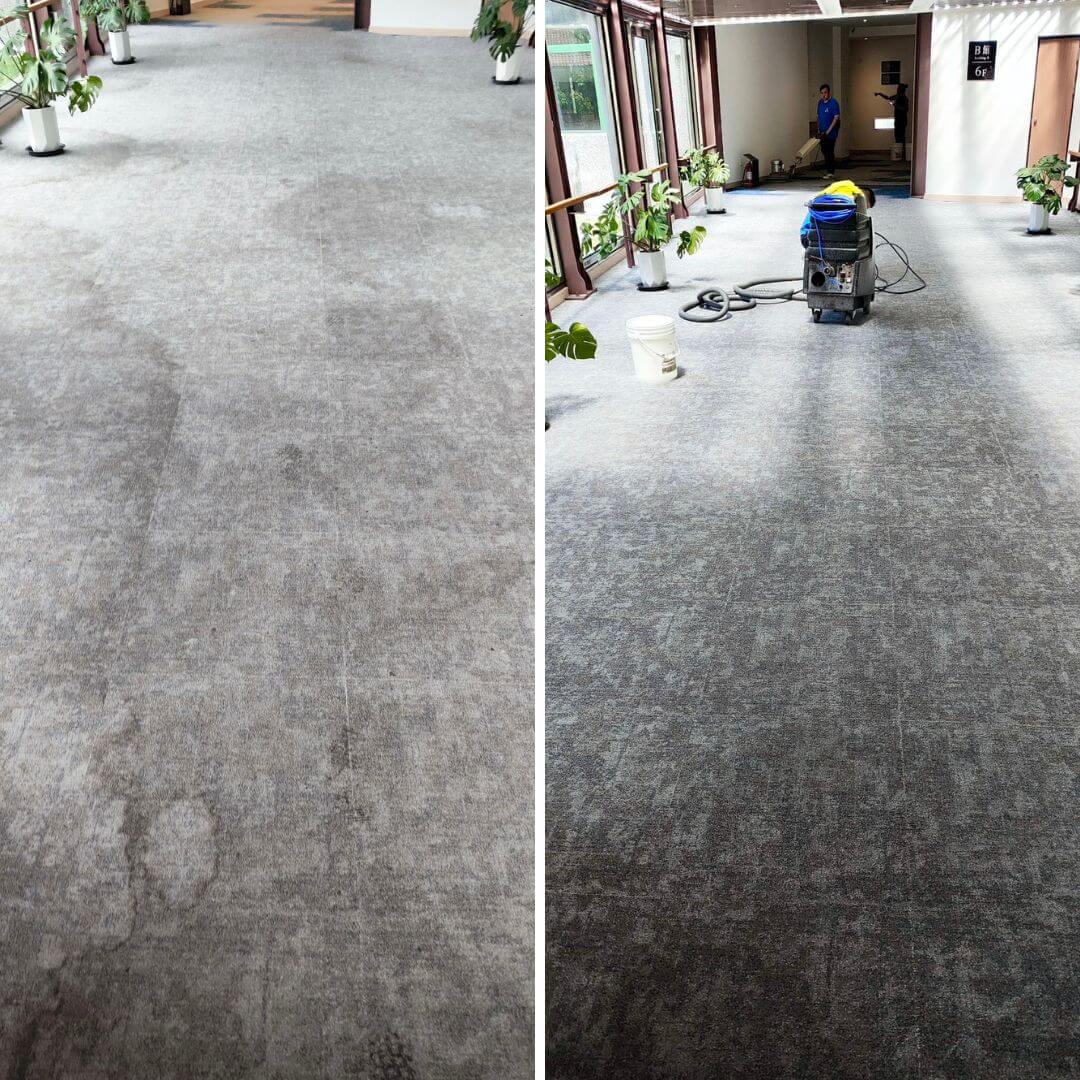 辦公室地毯清洗案例 14